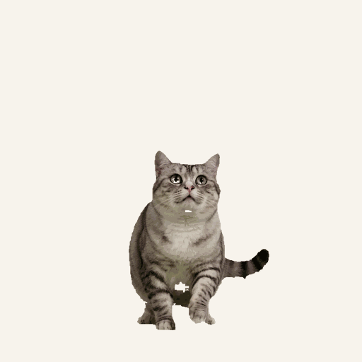 桌宠追逐动作
